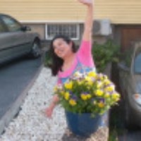 amalia del transito (@amalia_transito) 's Twitter Profile