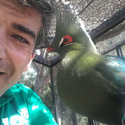 Entrenador de Aves (Zoo de Madrid, Selwo Marina, Terra Natura Benidorm y Mundomar ) De nuevo en el Zoo de Madrid