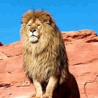 موجب ليبيا دلع حلوين (@kzvgvmm9t5ztymv) Twitter profile photo