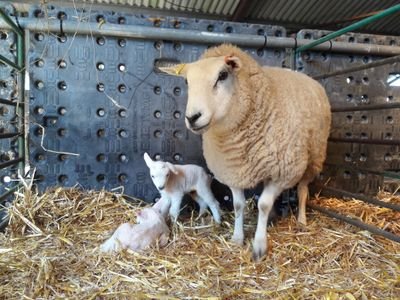 JLGWD73's profile picture. 