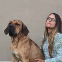 Paula Siberio (@siberio_paula) 's Twitter Profile