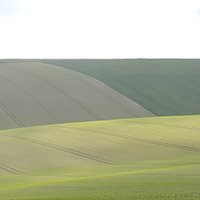 Clara Strauss (@clara_strauss) 's Twitter Profile