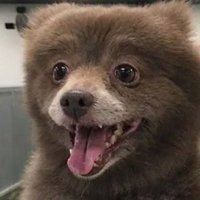 AGG Godlyankals (@aggxankals) 's Twitter Profile