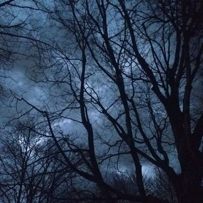 Two_sneaks's profile picture. A little aggressive