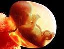 Encouraging a Culture of Life in North Central Indiana!