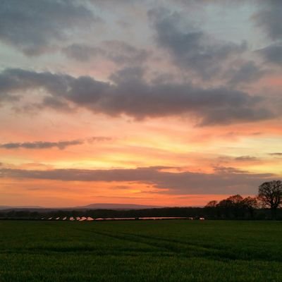 images_gc's profile picture. photographer