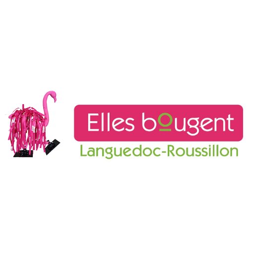 L'association @ellesbougent organise des événements afin de promouvoir les sciences auprès des femmes
#RoleModels