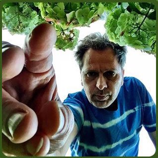 CarstenDannat's profile picture. Squirrel Gastronomer