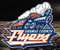 WatchTheFlyers's profile picture. Webcasts by United Webcast. Professional Minor League Baseball Team in Orange County, CA. 2008 GBL Champions! Managed by Ex MLB'er Paul Abbott!