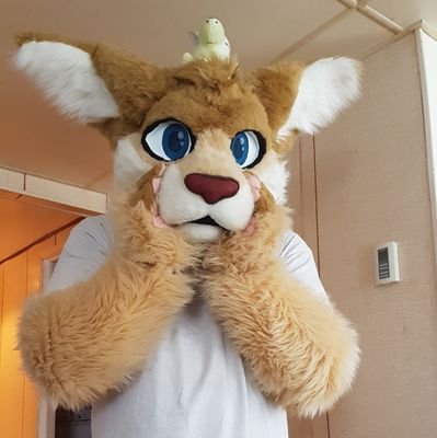 I'm a french Canadian fursuiter and artist who likes making new friends all around the world~
I love RPs, D&D, fantasy, steampunk, sci-fi, space opera