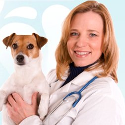 #MillCreekVet Services #Mississauga provide Complete #Veterinarian #HealthCare from Vaccinations to Surgeries. #CertifiedVets, Experienced Staff.