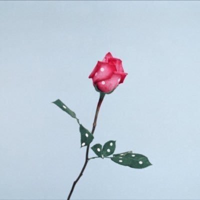 wastedfeelins's profile picture. 🌎☄️💕|| ig: @wastedfeelins