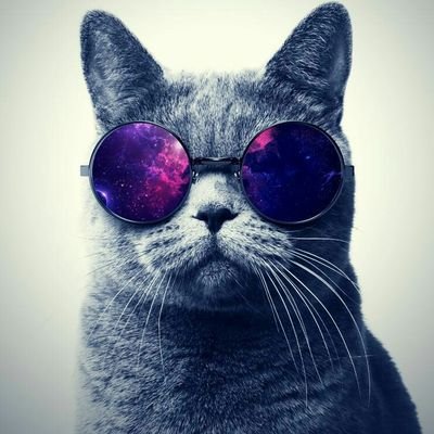 aliveli85803321's profile picture. 