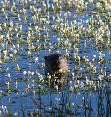 jbmr61's profile picture. Bueno bonito