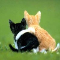 ほっこりする画像🌈💕 (@wannyan_15) Twitter profile photo