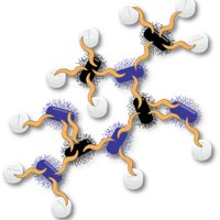 CabreiroLab (@cabreiro_lab) Twitter profile photo