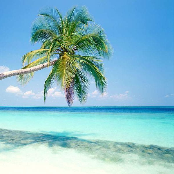 globaltech004's profile picture. 