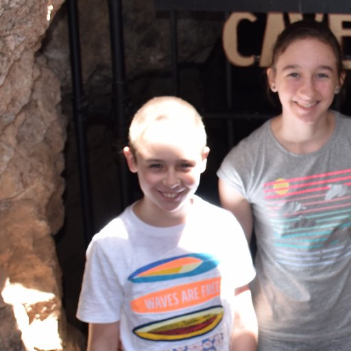 BRouter2007's profile picture. I am a weird guy who likes the Twins, cars, metros, and bridges. I can also wiggle my nose.