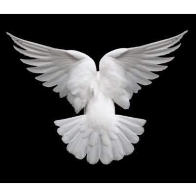 Sara_DHM's profile picture. “You only live once, but if you do it right, once is enough.” ― Mae West ..