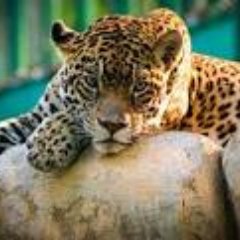 TroubleMaker380's profile picture. 