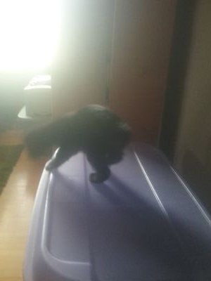 morgan26james's profile picture. 