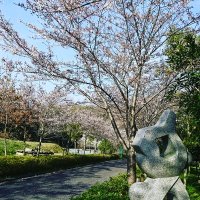 kttadami@Gmail.com (@kttadamigmailc1) 's Twitter Profile