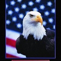 Sharkman690 (@sharkman690) 's Twitter Profile