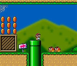 Super mario fan