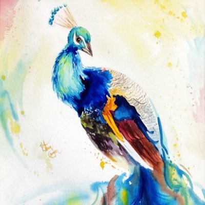 jhawkfan91's profile picture.