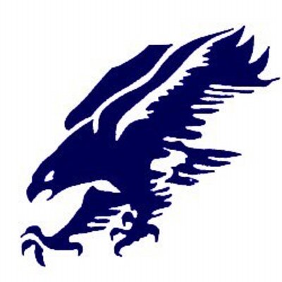 blue falcon definition blue falcon definition