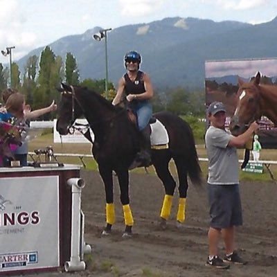 train racehorses @ Hastings racecourse