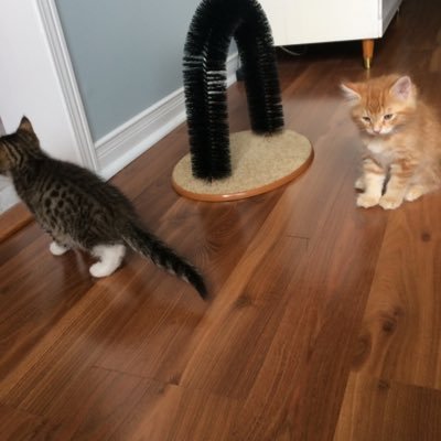 ACFitch2's profile picture. 