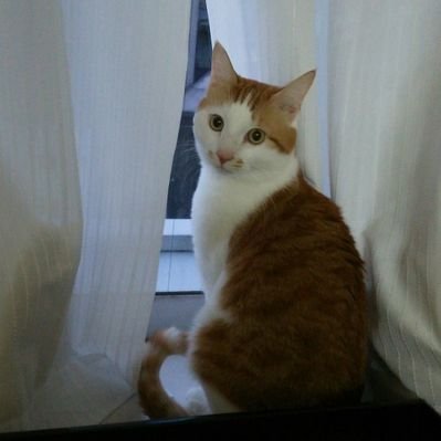 23石川慎吾 - Search / X