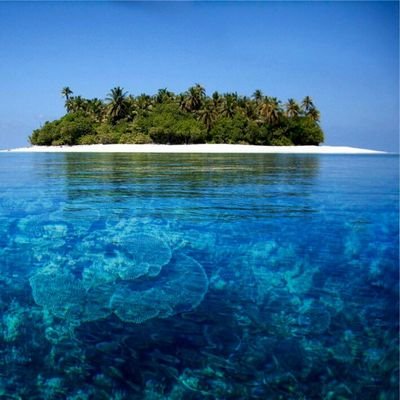 CommonFigSeed's profile picture. Nature Lover, Distributing Natural Miracles #natural #health #beauty #family #antiaging
Thank you for supporting happiness.Back us @ 
https://t.co/Bvu6uWMDwm