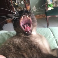 ME (@on_marty) 's Twitter Profile