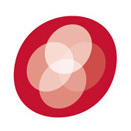 SemexEmbryos's profile picture. 