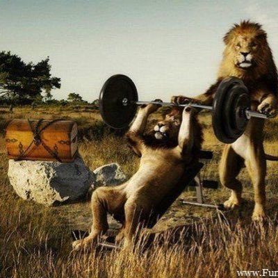 Fitness page dedicated to all the Animals in the weight room.