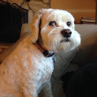 chekicheki66's profile picture. 