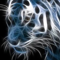 CAGASYO (@cagasyo) 's Twitter Profile Photo CAGASYO (@cagasyo) 's Twitter Profile Photo