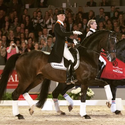 Team coach Dutch ponyriders and Children. Dutch International Dressage Rider 2-time Olympian, Silver medal OG 2008, World Champion 2010 with Dutch Team.