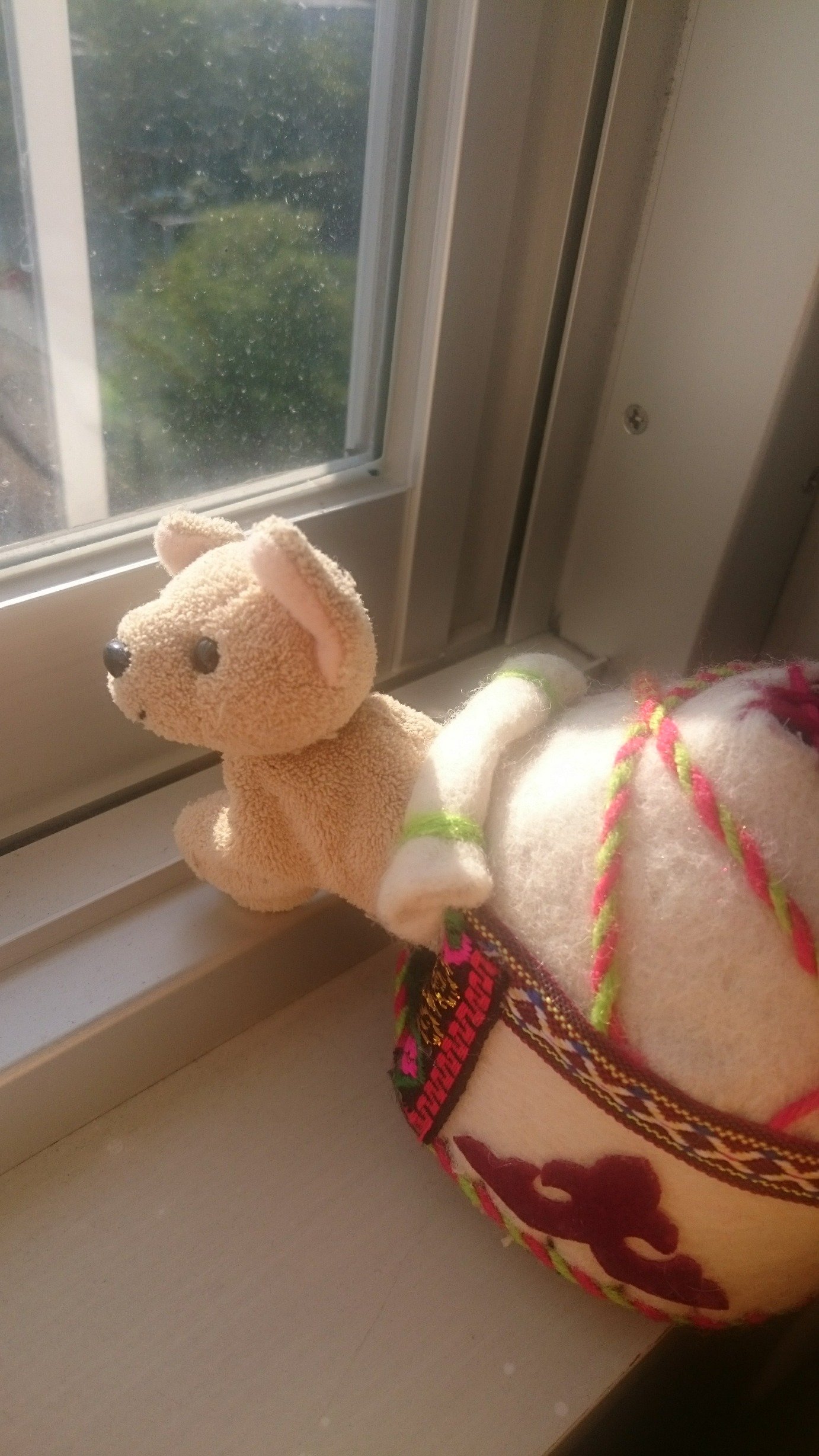 tatatap25's profile picture. ♨️