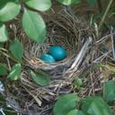 JLaney - @JoAnnaLaney - Twitter