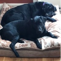 Burke Magnus (@burkemagnus) 's Twitter Profile