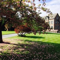 The Old Convent (@theoldconvent) 's Twitter Profile
