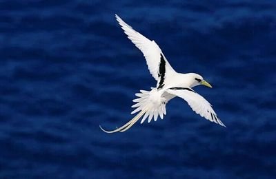 srcxJc7Z7yS5b3W's profile picture. الترفيه الفكاهة الفنون والثقافة المال والأعمال كرة القدم الأخبار