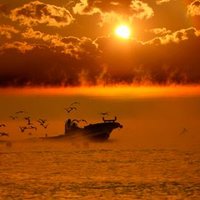 alham (@alham_3) Twitter profile photo