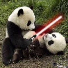 Boontje104's profile picture. 