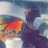 LaurenReck96's profile image
