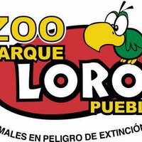 zoo parque loro (@parque_loro) 's Twitter Profile