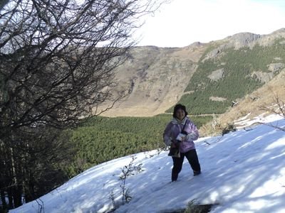 Soy chilena .coyhaiquina. amo el campo y su gente.creo en la fuerza e inteligencia de la mujer para un mundo mejor.